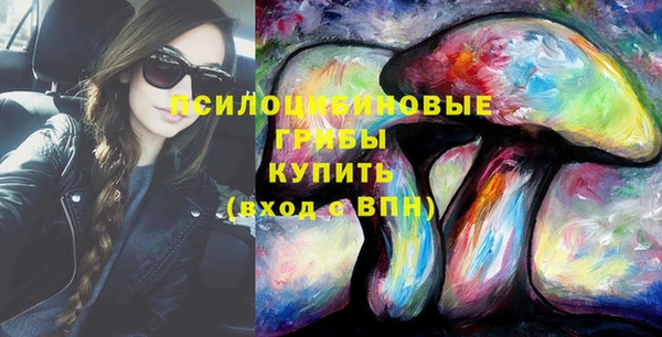 шишки Волосово