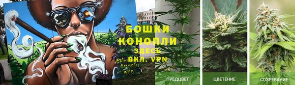 шишки Волосово