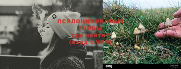 apvp Волоколамск