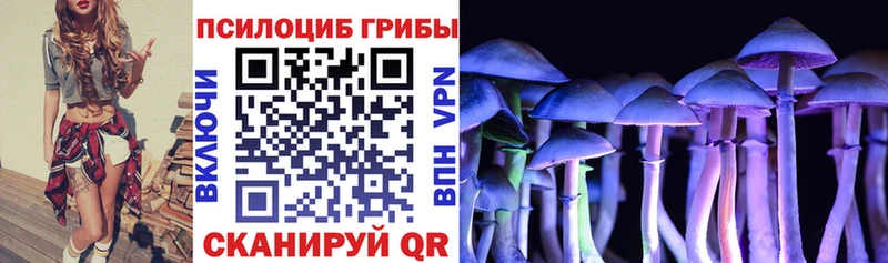 Купить где  Новое Девяткино  Псилоцибиновые грибы Psilocybine cubensis 